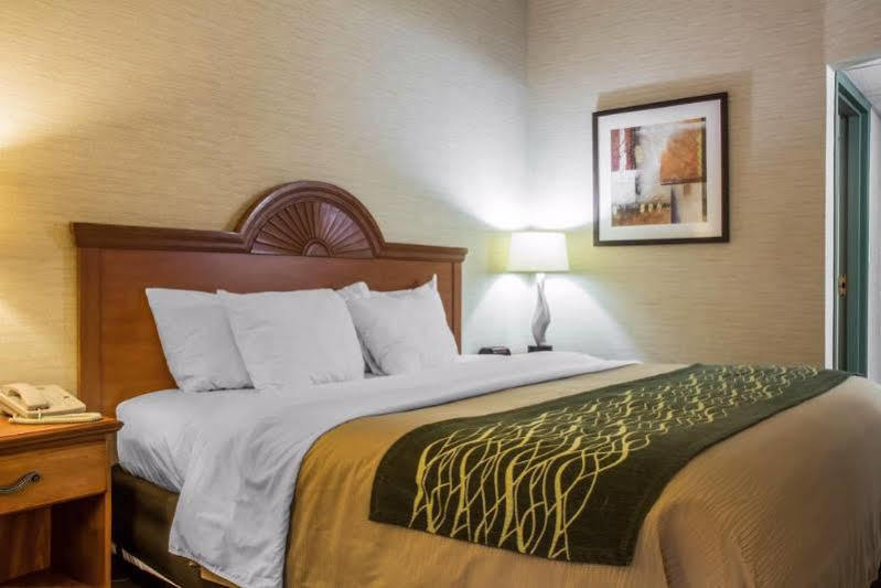 Quality Inn & Suites Mansfield Exteriör bild